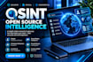 conduct osint investigation and online background research