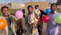 wish happy birthday video