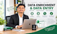 do data enrichment , data entry