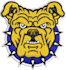 embroidery digitizing for dst, emb, exp, hus, pes, vp3, pcs