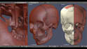 do 3d model retopology and mesh optimization
