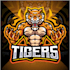 design professional unique tiger logo