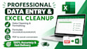 do professional data entry and excel spreadsheet cleanup