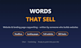 write website copy and landing page copy that sells