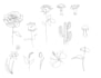 create a tattoo design that is a simple single fluid line