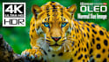 upscale your low resolution image into 4k image