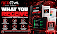 audit your website security, SSL, https and security headers