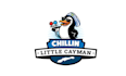 make exceptional cool fun logo with a penguin