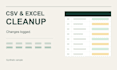 clean your excel or CSV data with a correction log