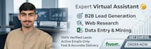 do b2b lead generation, web research, and data entry work