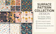 design a professional surface pattern collection