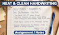 write assignment in neat and clean handwriting