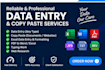 do accurate data entry, copy paste, and excel data entry