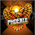 do incredible wonderful phoenix logo