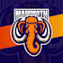 design awesome marvelous mammoth logo