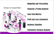 build excel financial model, forecasts, budget, business plan