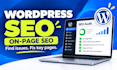 do wordpress website SEO audit and optimization