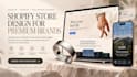 develop, design and build your shopify store