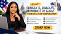 do US llc or corp reinstatement, terminate, file dissolution