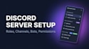 set up a professional discord server with roles bots and permissions