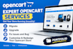 migrate, upgrade, fix issues and bug, customize redesign your opencart store