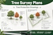 create tree survey plans and tree protection drawings