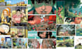 do comic book illustration graphic novel comic strip comic artist comic page art