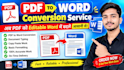 convert PDF to word and type documents accurately