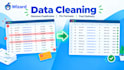 clean messy data and format your excel sheet professionally