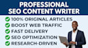 write professional SEO content