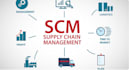 do supply chain, logistics and operations analysis, sops and reports