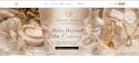 develop a professional ecommerce website using mern stack