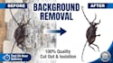 do professional photo background removal and cutout