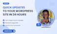 make quick updates to your wordpress site in 24 hours