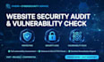 do basic website security audit and vulnerability check