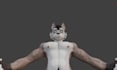 rig custom vrchat avatar with arkit blendshapes, visemes and warudo vrm setup