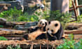 plan a china travel itinerary for your first visit