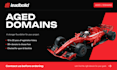 provide aged domains for your business