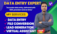 do professional data entry,  lead generation file conversion