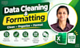 do excel or csv data cleaning and formatting