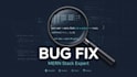 fix bugs and upgrade your mern stack application
