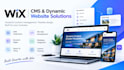 build wix cms dynamic pages, database collections and custom features