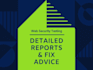 web security testing and detailed vulnerability reports