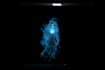 create spooky halloween hologram animation vj loop and haunted projection effect