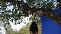 add visual effect, vfx compositing, special effects , ai vfx