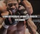 edit engaging MMA and boxing reels