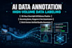 perform ai data annotation and high volume labeling