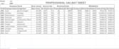 create professional excel sheets ,purchase order, invoice and salary sheet