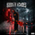 make professional custom album cover design