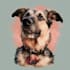turn your pet photo into a beautiful memorial portrait